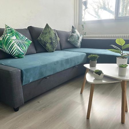 Appartement Le Classik' Parking Prive Mâcon Εξωτερικό φωτογραφία